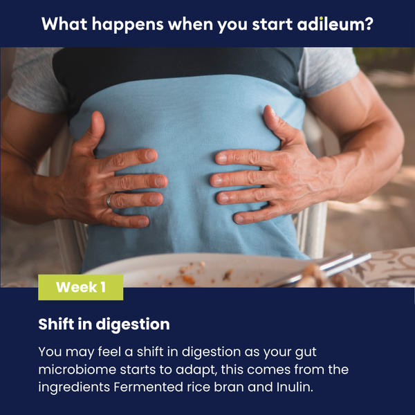 adileum