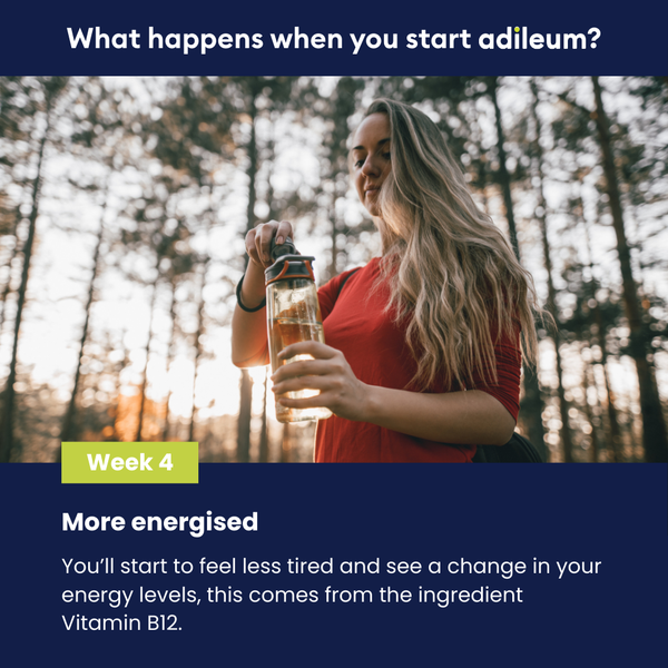 adileum