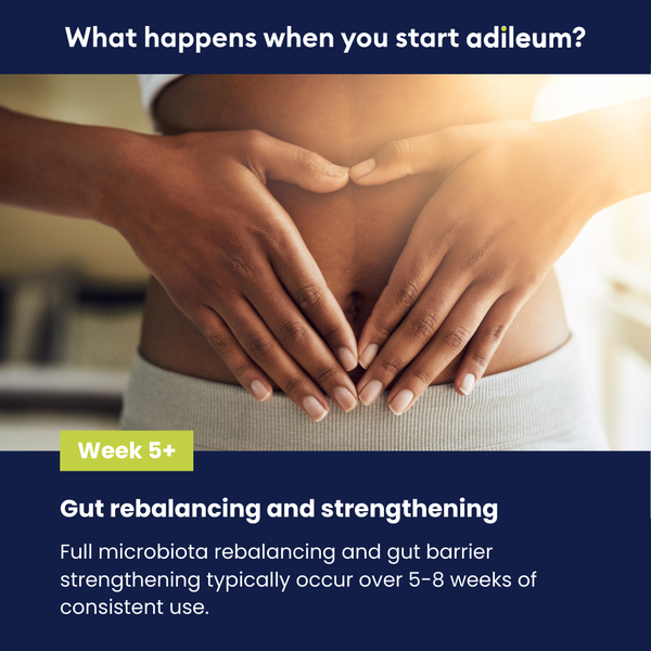 adileum